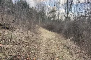 1815 Cedar Creek Rd, Mount Olivet, KY 41064 - Photo 22