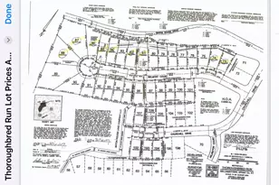 127 Belmont Ct, Williamstown, KY 41097 - Photo 46