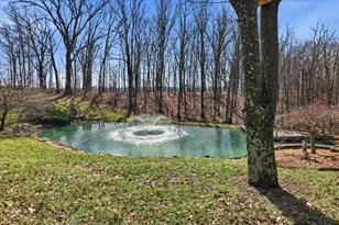 334 Mason Ln, Sparta, KY 41086 - Photo 12