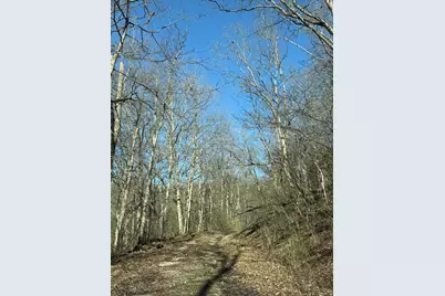 4695 Rabbit Hash Road, Union, KY 41091 - Photo 8