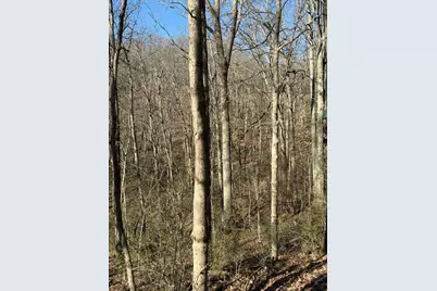 4695 Rabbit Hash Road, Union, KY 41091 - Photo 38