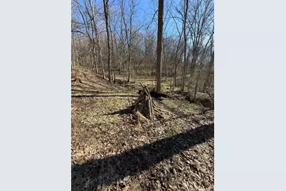 4695 Rabbit Hash Road, Union, KY 41091 - Photo 44