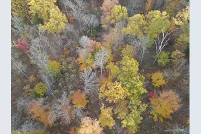 530 Rankin Mill Road, Falmouth, KY 41040 - Photo 10