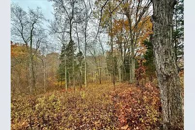 530 Rankin Mill Road, Falmouth, KY 41040 - Photo 40