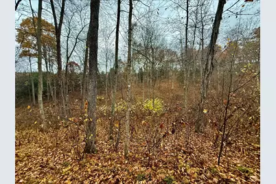 530 Rankin Mill Road, Falmouth, KY 41040 - Photo 44