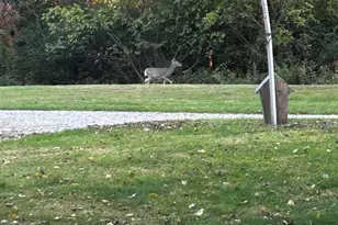 9923 East Bend Road, Burlington, KY 41005 - Photo 42