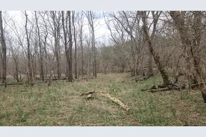 1205 Turner Road, Williamstown, KY 41097 - Photo 20