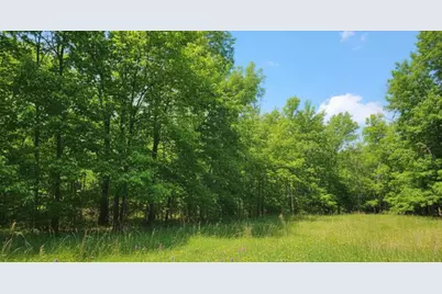 1205 Turner Road, Williamstown, KY 41097 - Photo 8