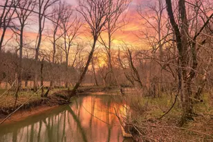 1205 Turner Rd, Williamstown, KY 41097 - Photo 1