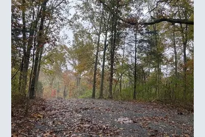 817 Galbraith Road, Brooksville, KY 41004 - Photo 2