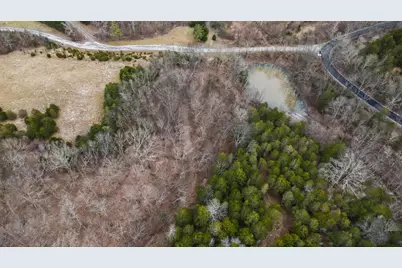 000 Hogg Ridge Road, Williamstown, KY 41097 - Photo 16