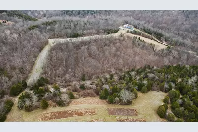 000 Hogg Ridge Road, Williamstown, KY 41097 - Photo 14