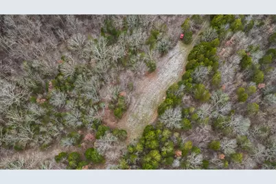 000 Hogg Ridge Road, Williamstown, KY 41097 - Photo 10