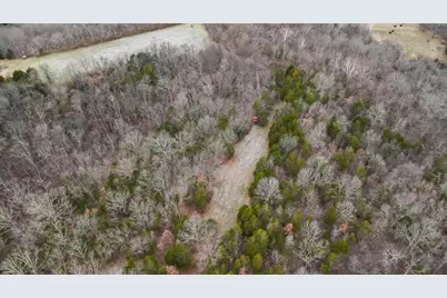 000 Hogg Ridge Road, Williamstown, KY 41097 - Photo 8