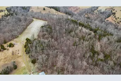 000 Hogg Ridge Road, Williamstown, KY 41097 - Photo 6