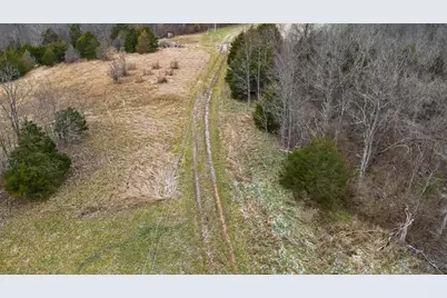 000 Hogg Ridge Road, Williamstown, KY 41097 - Photo 2