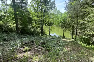 3105 Lots 245-249 Rd, Owenton, KY 40359 - Photo 44