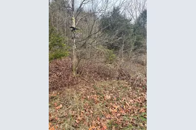 465 Old Monterey Road, Owenton, KY 40359 - Photo 32