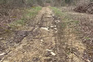 465 Old Monterey Rd, Owenton, KY 40359 - Photo 28