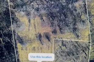 2000 Shady Ln, Crittenden, KY 41030 - Photo 34