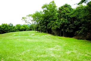 11 5 Ac Osborne Rd, Dry Ridge, KY 41035 - Photo 10