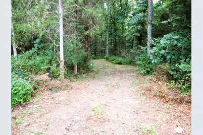 11.5 Ac Osborne Road, Dry Ridge, KY 41035 - Photo 14