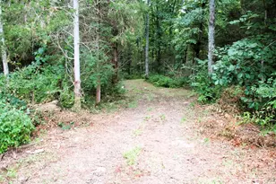 11 5 Ac Osborne Rd, Dry Ridge, KY 41035 - Photo 14