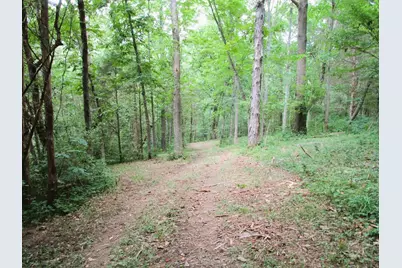 11.5 Ac Osborne Road, Dry Ridge, KY 41035 - Photo 16