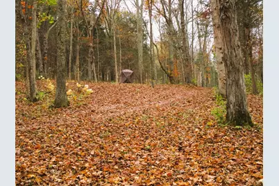11.5 Ac Osborne Road, Dry Ridge, KY 41035 - Photo 36