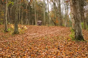 11 5 Ac Osborne Rd, Dry Ridge, KY 41035 - Photo 36