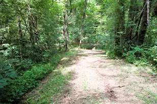 11 5 Ac Osborne Rd, Dry Ridge, KY 41035 - Photo 24