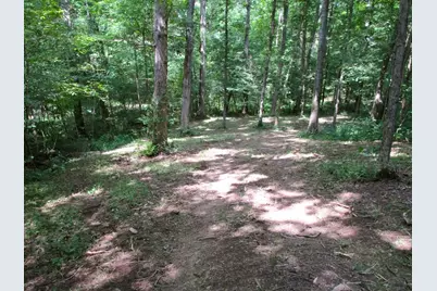 11.5 Ac Osborne Road, Dry Ridge, KY 41035 - Photo 18