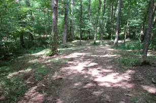 11 5 Ac Osborne Rd, Dry Ridge, KY 41035 - Photo 18