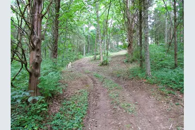 11.5 Ac Osborne Road, Dry Ridge, KY 41035 - Photo 38