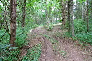 11 5 Ac Osborne Rd, Dry Ridge, KY 41035 - Photo 38