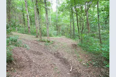 11.5 Ac Osborne Road, Dry Ridge, KY 41035 - Photo 28