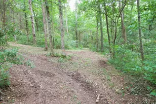 11 5 Ac Osborne Rd, Dry Ridge, KY 41035 - Photo 28