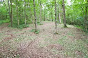 11 5 Ac Osborne Rd, Dry Ridge, KY 41035 - Photo 26