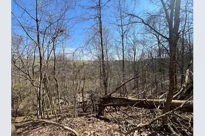 3105 Gratz Road 59 & 60, Owenton, KY 40359 - Photo 6