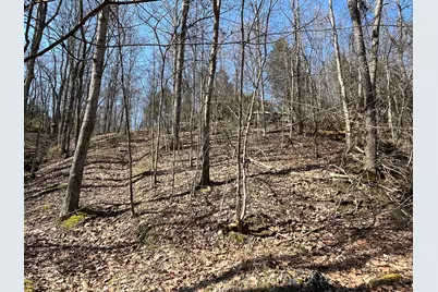 3105 Gratz Road 59 & 60, Owenton, KY 40359 - Photo 4