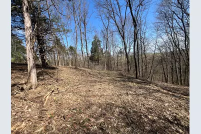 3105 Gratz Road 59 & 60, Owenton, KY 40359 - Photo 8