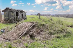 1305 Bethel Ridge Rd, New Liberty, KY 41098 - Photo 8