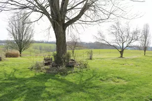 1305 Bethel Ridge Rd, New Liberty, KY 41098 - Photo 6