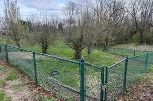 522 N Main St, Williamstown, KY 41097 - Photo 34