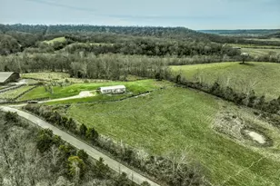 385 Mosby Crk Rd, Sparta, KY 41086 - Photo 6