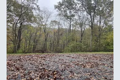 697 Galbraith Road, Brooksville, KY 41004 - Photo 2