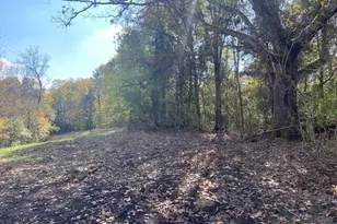 881 Galbraith Rd, Brooksville, KY 41004 - Photo 1