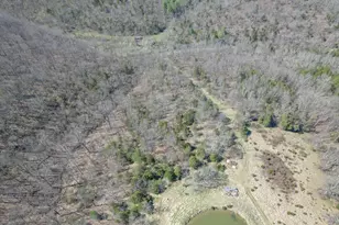 7300 Milford Rd, Falmouth, KY 41040 - Photo 18