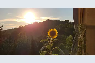 740 Yorkshire Drive, Alexandria, KY 41001 - Photo 18