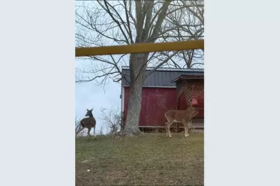 2455 Baker Williams Road, Corinth, KY 41010 - Photo 44